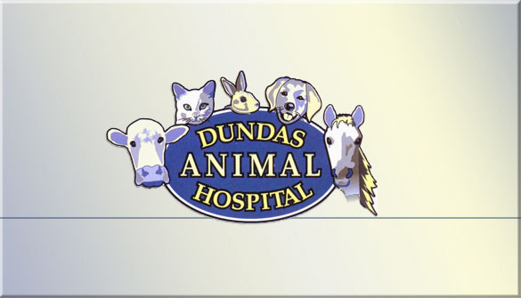 Dundas Animal Hospital in Downtown Dundas Ontario