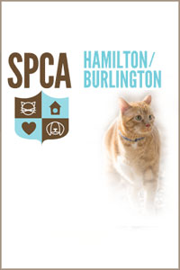 SPCA Hamilton & Burlington Society for the Prevention of Cruelty to Animals